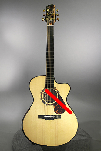 Custom Acoustic Guitars