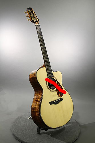 Custom Acoustic Guitars