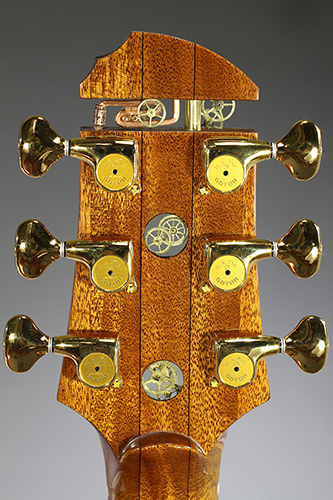 Custom Acoustic Guitars