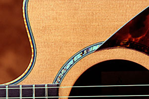 Custom Acoustic Guitar