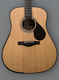 Custom Dreadnaught, by luthier Kathy Wingert