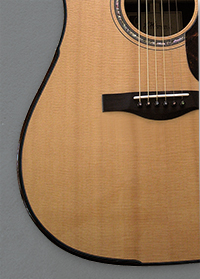 Custom Dreadnaught, by luthier Kathy Wingert