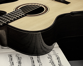 Guitar View