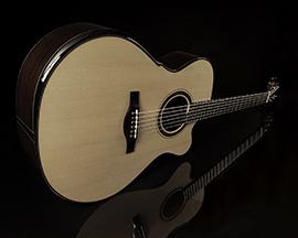 Guitar View