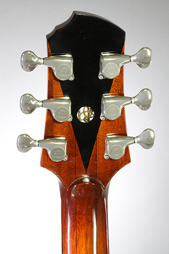 Custom Acoustic Guitars