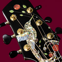 Guitar Panel 5