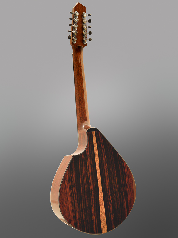 Custom Acoustic Guitar Cutaways
