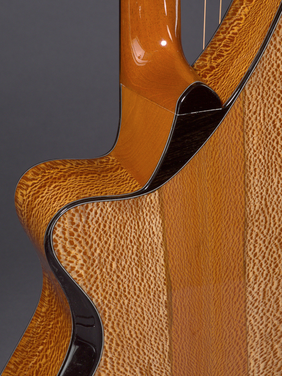 Custom Acoustic Guitar Cutaways