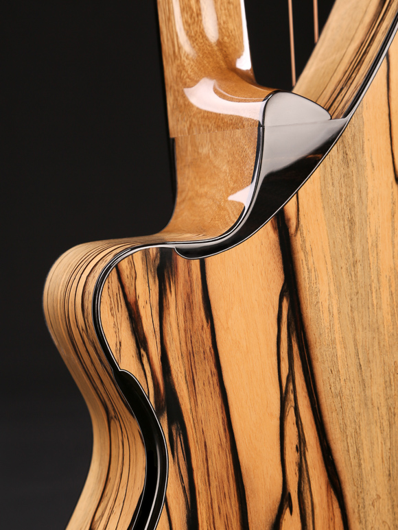Custom Acoustic Guitar Cutaways