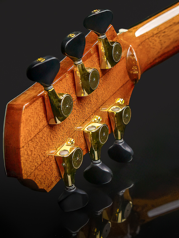 Custom Acoustic Guitar Tuning Machines