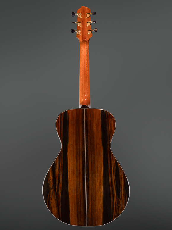 Kathy Wingert Model E Custom Guitar