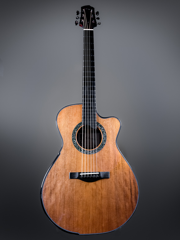 Kathy Wingert Model E Custom Guitar