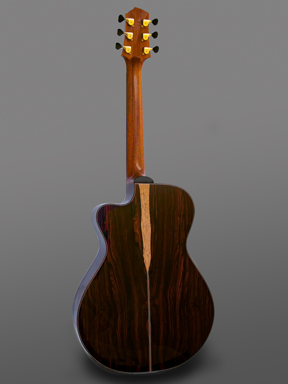 Kathy Wingert Model E Custom Guitar