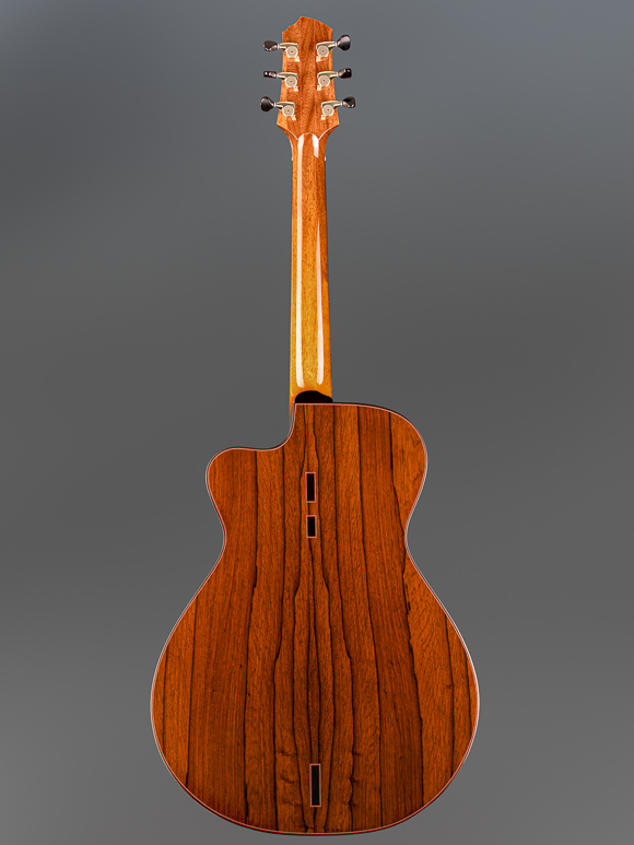 Kathy Wingert Model E Custom Guitar