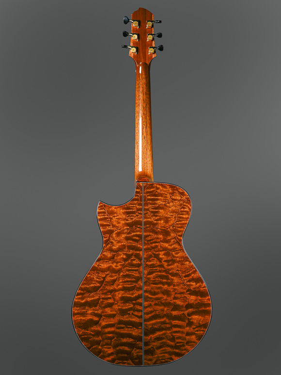 Kathy Wingert Model E Custom Guitar