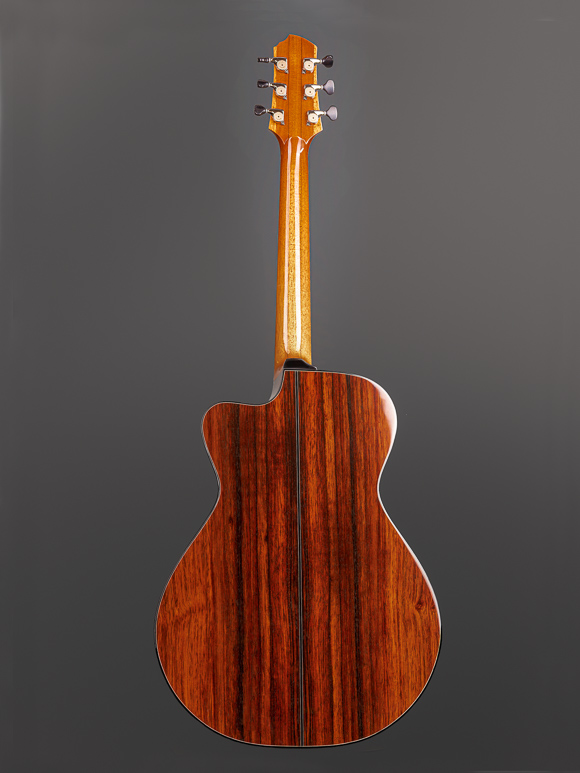 Kathy Wingert Model E Custom Guitar