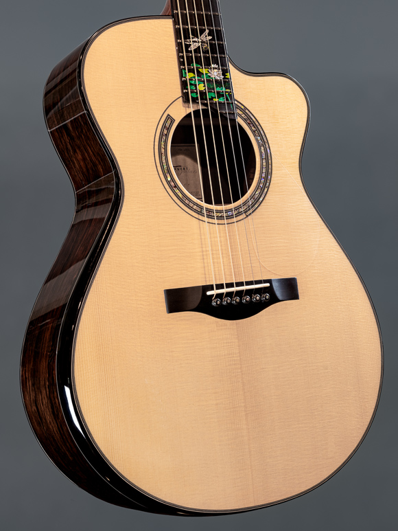 Kathy Wingert Model E Custom Guitar
