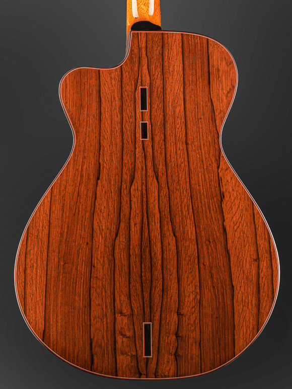 Kathy Wingert Model E Custom Guitar