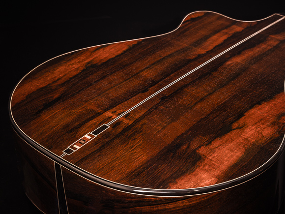 Kathy Wingert Model E Custom Guitar