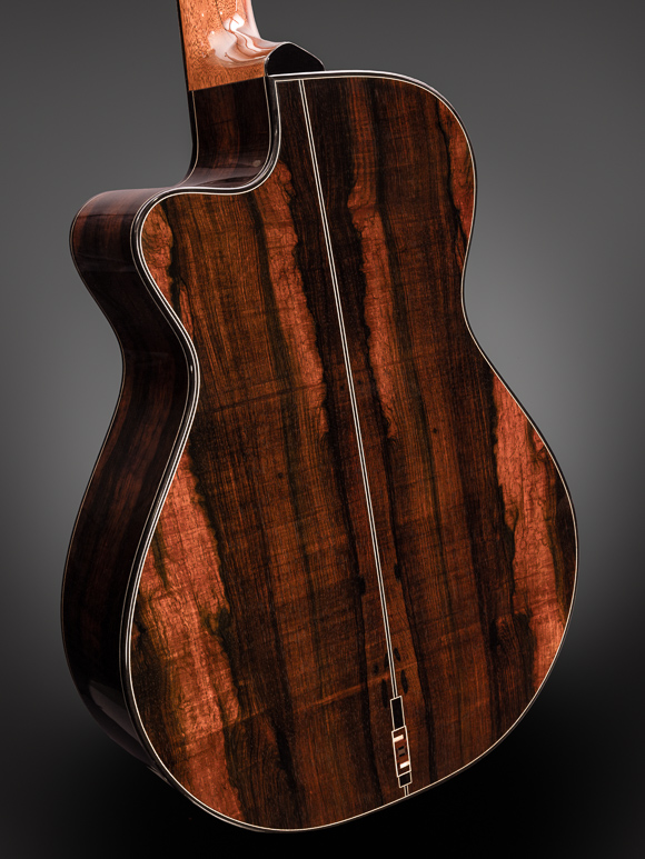 Kathy Wingert Model E Custom Guitar