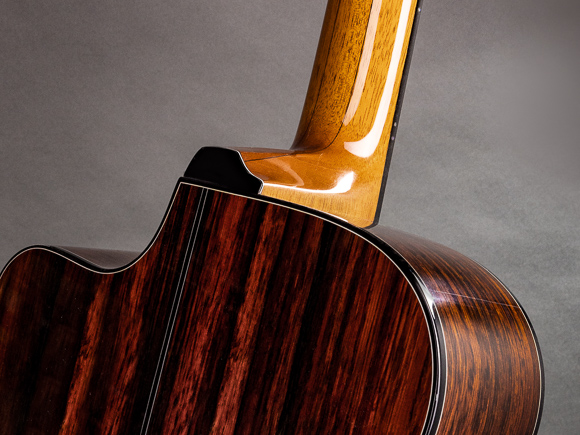 Kathy Wingert Model E Custom Guitar