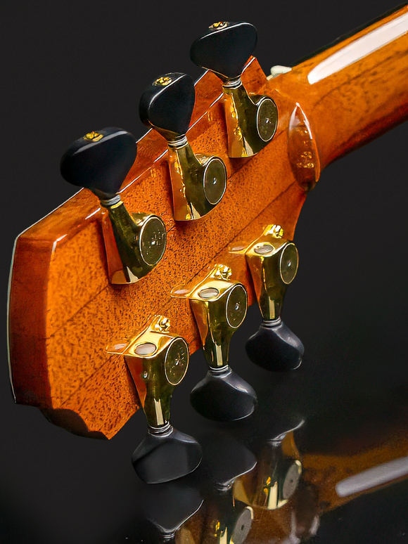 Kathy Wingert Model E Custom Guitar