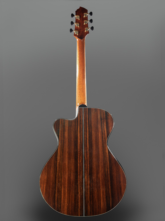 Kathy Wingert Model F Custom Guitar