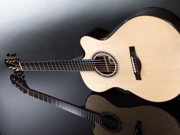 Kathy Wingert Model F Custom Guitar