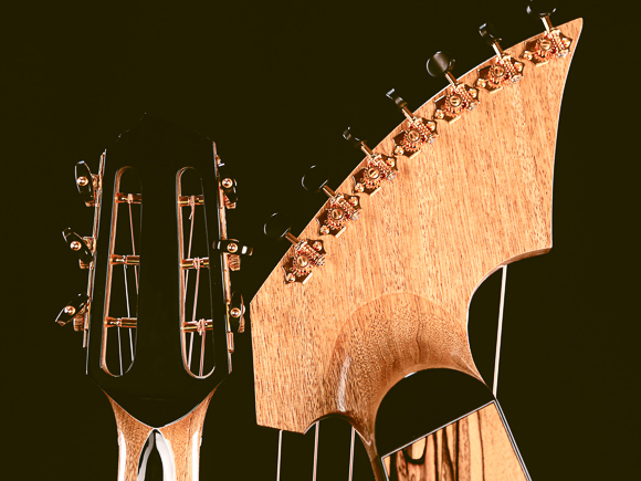 Kathy Wingert Custom Harp Guitar