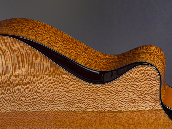 Kathy Wingert Custom Harp Guitar
