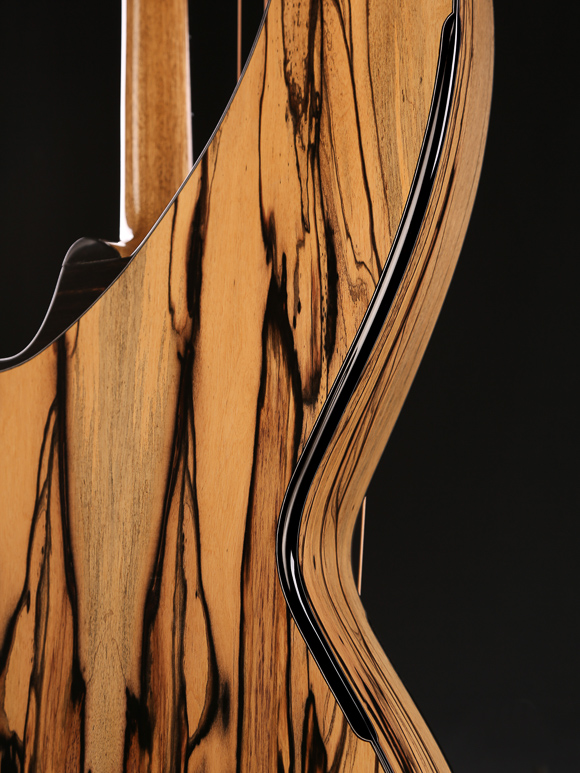 Kathy Wingert Custom Harp Guitar