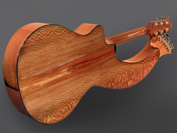 Kathy Wingert Custom Harp Guitar