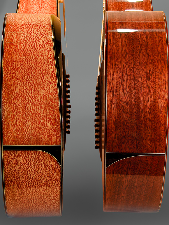 Kathy Wingert Custom Harp Guitar