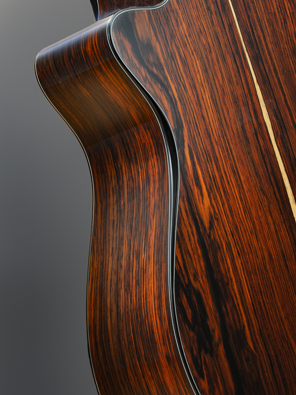 Kathy Wingert Custom Harp Guitar