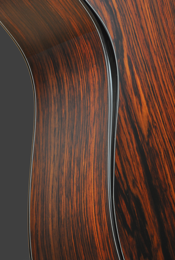 Kathy Wingert Custom Harp Guitar