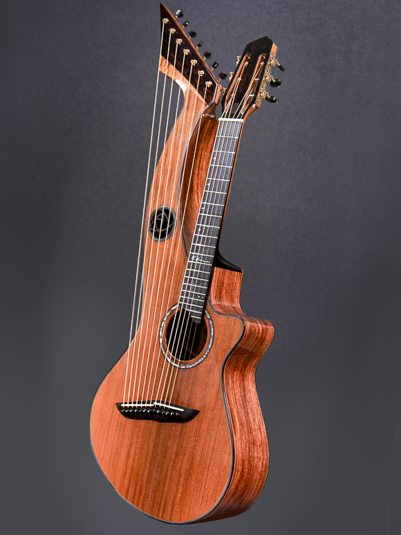Kathy Wingert Custom Harp Guitar