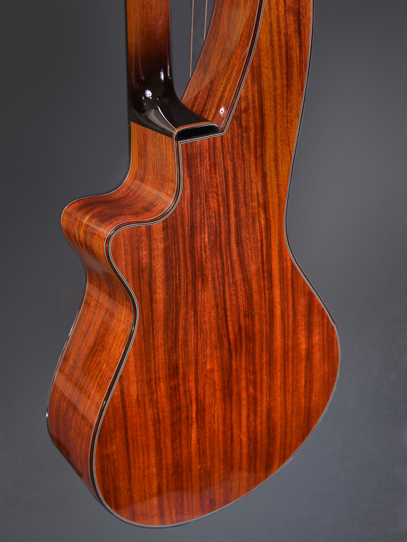 Kathy Wingert Custom Harp Guitar