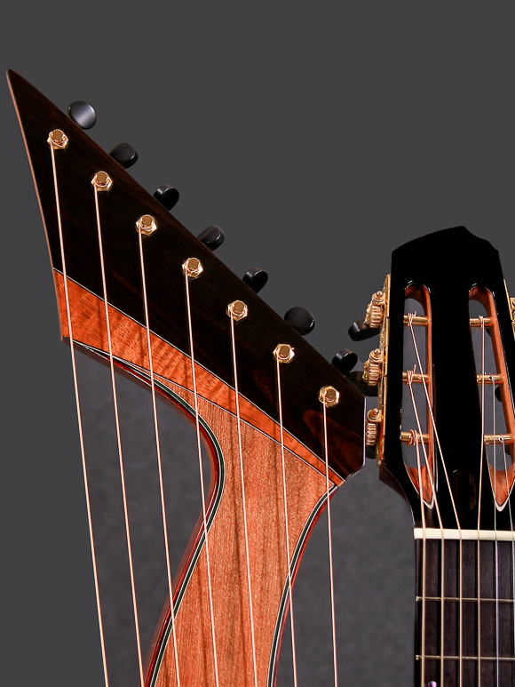 Kathy Wingert Custom Harp Guitar