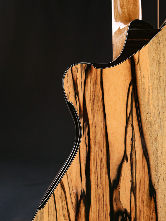 Kathy Wingert Custom Harp Guitar