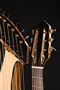 Image Custom Harp Guitar