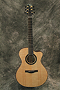 Custom Acoustic Guitar