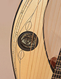 Custom Harp Guitar