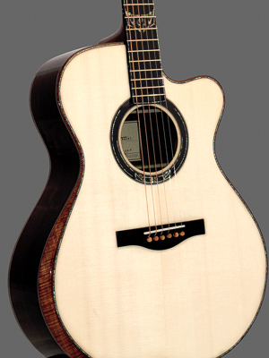 Kathy Wingert Model F Guitar