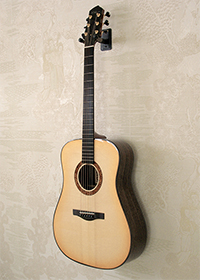 Custom Dreadnaught, by luthier Kathy Wingert